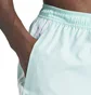 Шорты мужские Adidas 3-Stripes Clx Light Blue IS2056