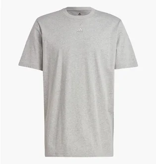 Футболка мужская Adidas All Szn Tee Grey Ic9789