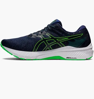 Кросівки чоловічі Asics Gt 2000 10 Blue 1011B185-405