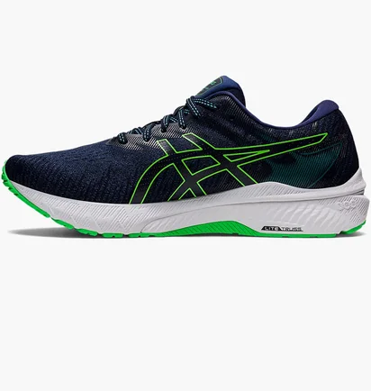 Кроссовки мужские Asics Gt 2000 10 Blue 1011B185-405