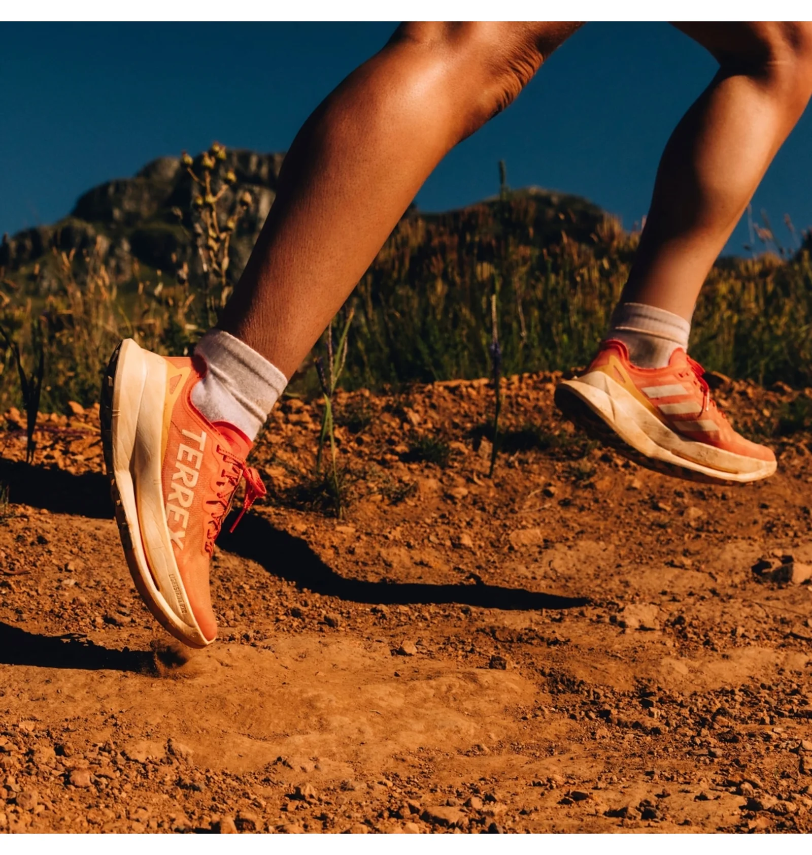 ᐉ Кроссовки мужские Adidas Terrex Agravic Speed Ultra Trail