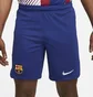 Шорты мужские Nike Dri-Fit Fc Barcelona Stadium 2023/24 Blue DX2709-455