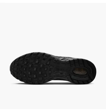 Кросівки чоловічі Nike Air Pegasus 2005 Black HV1792-001