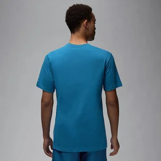 Футболка чоловіча Air Jordan Embroidered Crew Light Blue DM3182-457