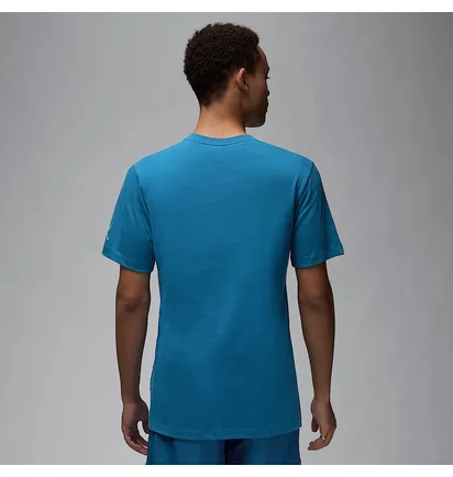 Футболка мужская Air Jordan Embroidered Crew Light Blue DM3182-457