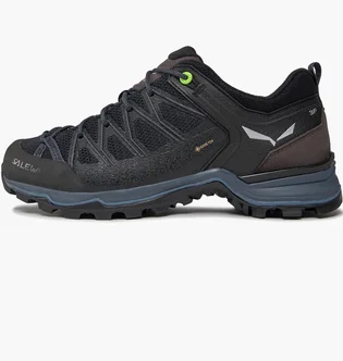 Кросівки чоловічі Salewa Ms Mtn Trainer Lite Gtx Gore-Tex Black 61361-0971