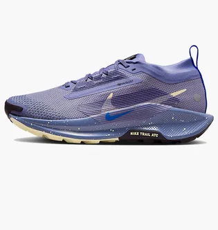 Кроссовки женские Nike W Pegasus Trail 5 Gtx Blue FQ0912-402