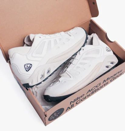 Кросівки чоловічі Nike Acg Air Exploraid Beige FJ1920-100