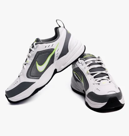 Кроссовки мужские Nike Air Monarch Iv Grey 415445-100