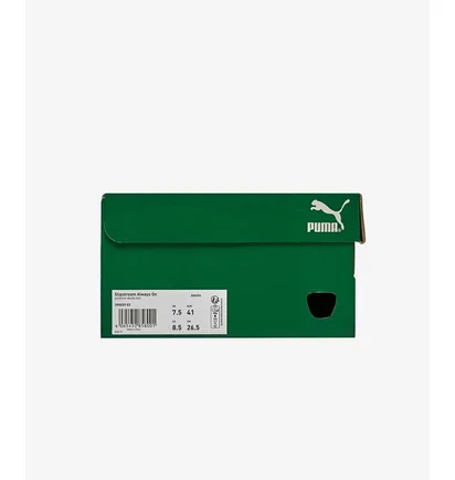 Кроссовки мужские Puma Slipstream Always On Beige 390059-03