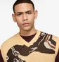 Жилетка чоловіча Nike Sb Sweater Sleeveless Jumper Beige/Brown FV7391-202