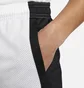 Шорты мужские Air Jordan Dri-Fit White/Black DH9077-100