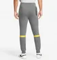 Штани чоловічі Nike Liverpool 21/22 Dri-Fit Travel Pant Grey DB7876-088