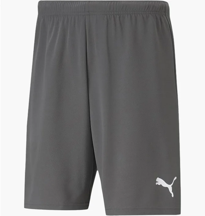Шорты мужские Puma Shorts Teamrise Short Grey 704942-13