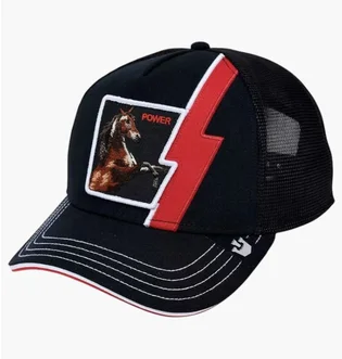 Кепка унисекс Goorin bros Cap Power Black 101-2463