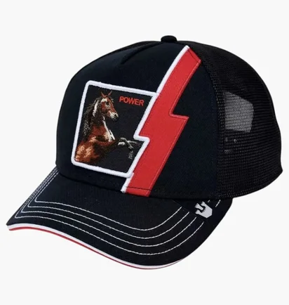 Кепка унисекс Goorin bros Cap Power Black 101-2463
