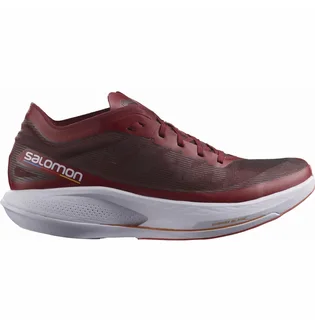 Кросівки чоловічі Salomon Phantasm Running Shoes Bordo L41610300