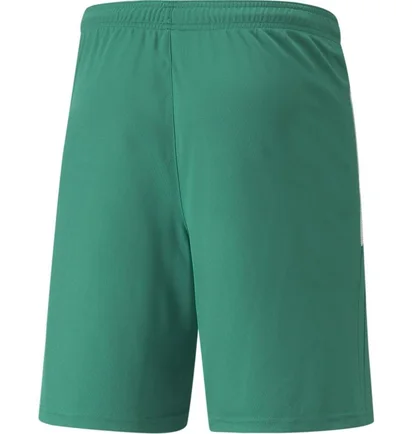 Шорти чоловічі Puma Teamliga Shorts Green 704924-05