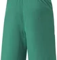 Шорти чоловічі Puma Teamliga Shorts Green 704924-05