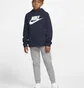 Штани дитячі Nike B Nsw Club Flc Jogger Pant Grey CI2911-091