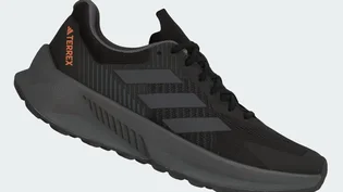 Кроссовки мужские Adidas Terrex Soulstride Flow Trail Running Shoes Black GX1822