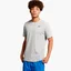 Футболка мужская Nike Dri-Fit Crew Solid Tee Grey AR6029-063