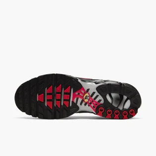 Кроссовки мужские Nike Air Max Plus Grey/Black DJ0638-001