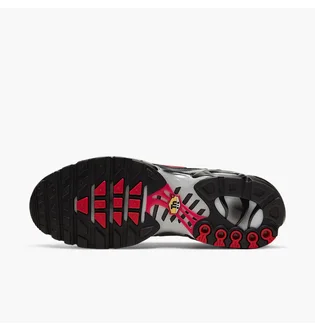 Кроссовки мужские Nike Air Max Plus Grey/Black DJ0638-001