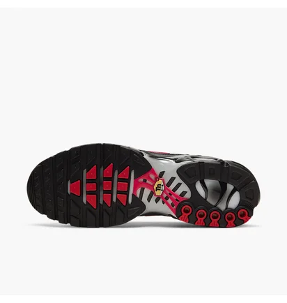 Кросівки чоловічі Nike Air Max Plus Grey/Black DJ0638-001