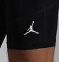 Шорты мужские Air Jordan Sport Dri-Fit Shorts Black FV8618-010
