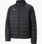 Пуховик чоловічий Puma Teamliga Padded Jacket Zip Black 658799-03