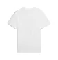 Футболка чоловіча Puma Graphic Circular White 691778-02