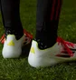 Бутсы мужские Adidas F50 Elite Fg White/Red IE1206