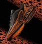 Кроссовки мужские Nike Air Max Dn Premium Electric Brown/Orange HM0811-900