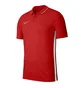 Поло мужское Nike Dry Academy 19 Red Bq1496-657