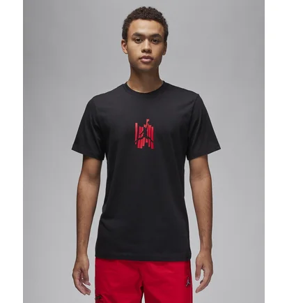 Футболка мужская Air Jordan Brand Graphic T-Shirt Black FD7025-010