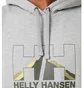 Худи мужское Helly Hansen Nord Graphic Pull Over Hoodie Grey 62975-950