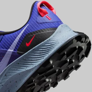 Кросівки жіночі Nike Pegasus Trail 3 Blue Da8698-401
