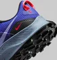 Кроссовки женские Nike Pegasus Trail 3 Blue Da8698-401