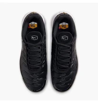 Кроссовки мужские Nike Air Max Plus П Black FZ4150-001