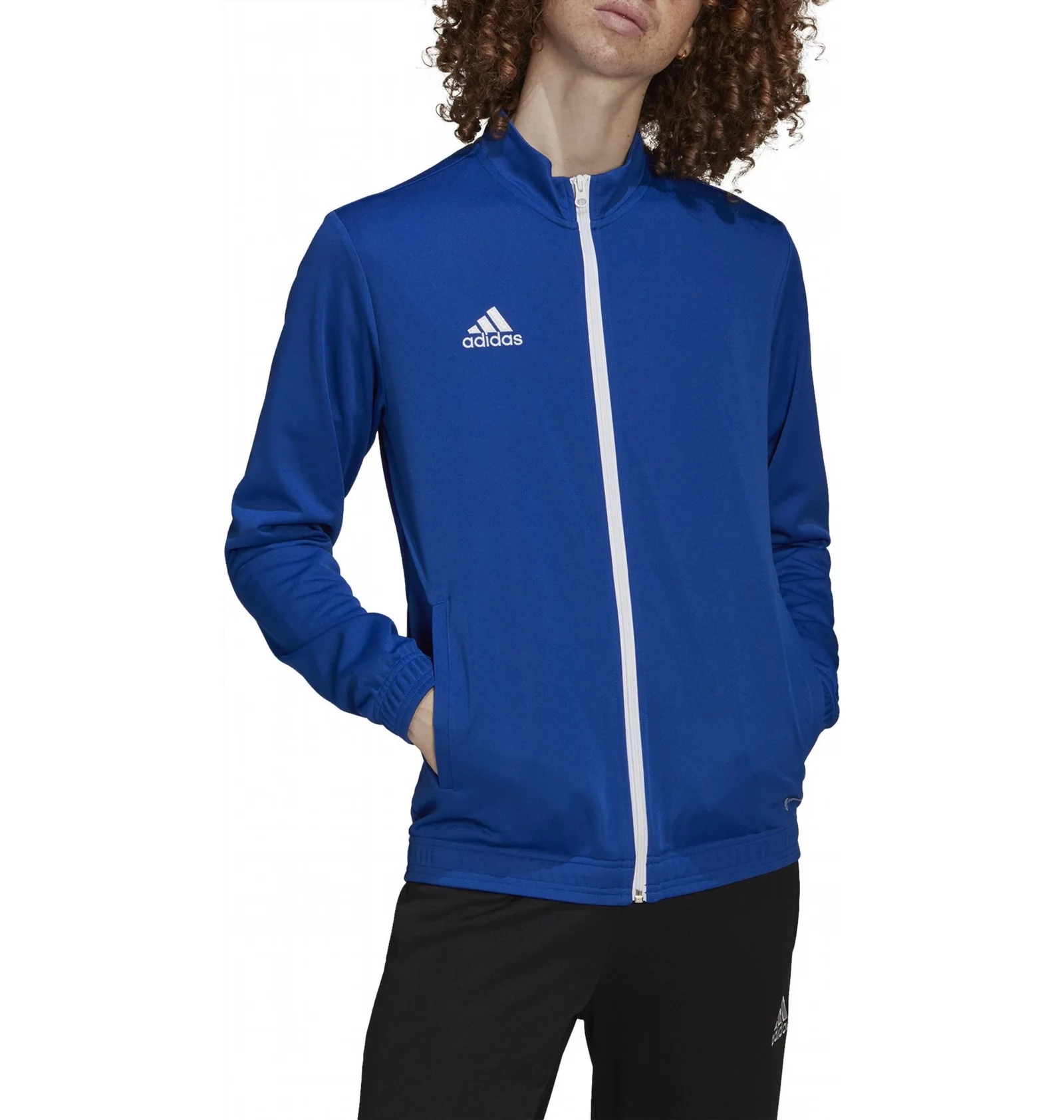 ᐉ Олімпійка чоловіча Adidas Jacket Ent22 Tk Jkt Blue HG6287