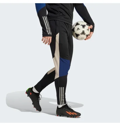 Штаны мужские Adidas Tiro 23 Competition Winterized Black IL7263