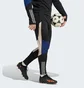 Штаны мужские Adidas Tiro 23 Competition Winterized Black IL7263