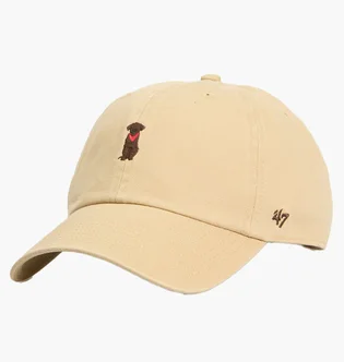 Кепка унісекс 47 Brand Dog Base Runner Icon Beige BSRIC1411GWS-KH