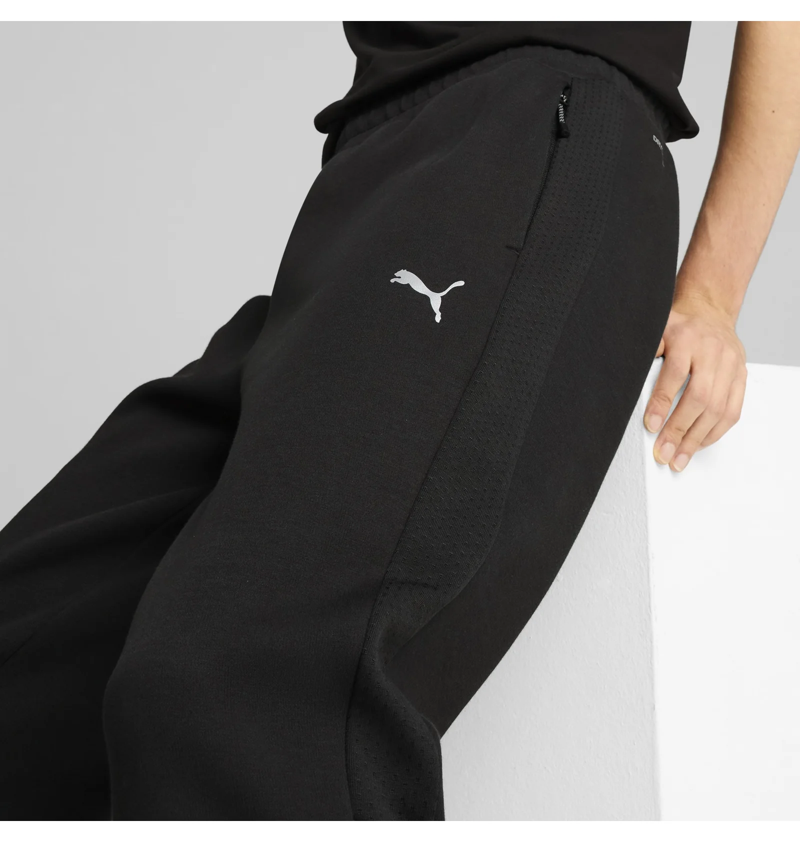 ᐉ Штаны мужские Puma Evostripe Pants Black 684614-01 - купить в