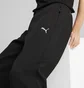 Штаны мужские Puma Evostripe Pants Black 684614-01