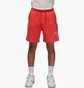 Шорты мужские Air Jordan Brooklyn Fleece Red FN4535-604