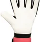 Рукавиці воротарські дитячі Jako River Basic Multi DT-2580-192