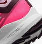 Кроссовки женские Nike Pegasus Trail 4 Gore-Tex Waterproof Trail Running Shoes Pink FN7769-600