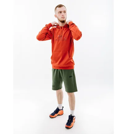 Худи мужское Helly Hansen Nord Graphic Pull Over Hoodie Orange 62975-308
